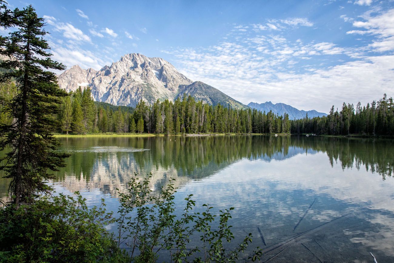 Grand Teton peaks above a forest lake
